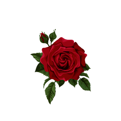 Mj flowers - logo