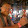 Alf Herman Schonhardt Alf Herman Schonhardt's profile photo