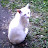 Margot Silverberg avatar image