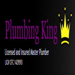 Plumbing King
