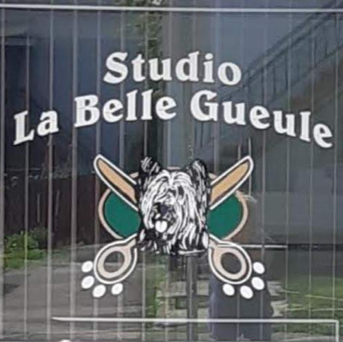 Salon de toilettage Studio La Belle Gueule
