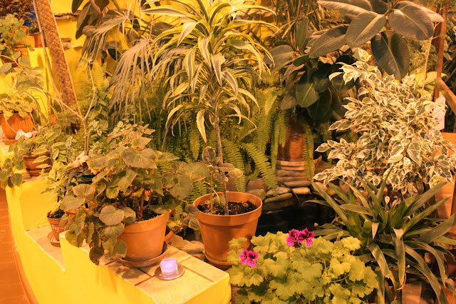 Дом бабочек и чуть-чуть ВВЦ. Москва. октябрь 2011