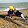 Meg Riddington Meg Riddington's profile photo