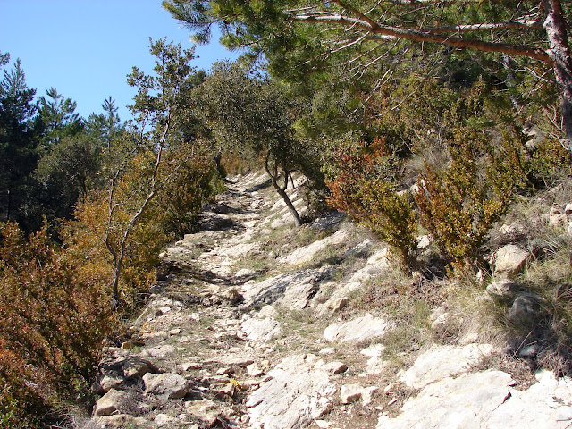 Senderismo Castell de Cabres - El Boixar - Coratxà