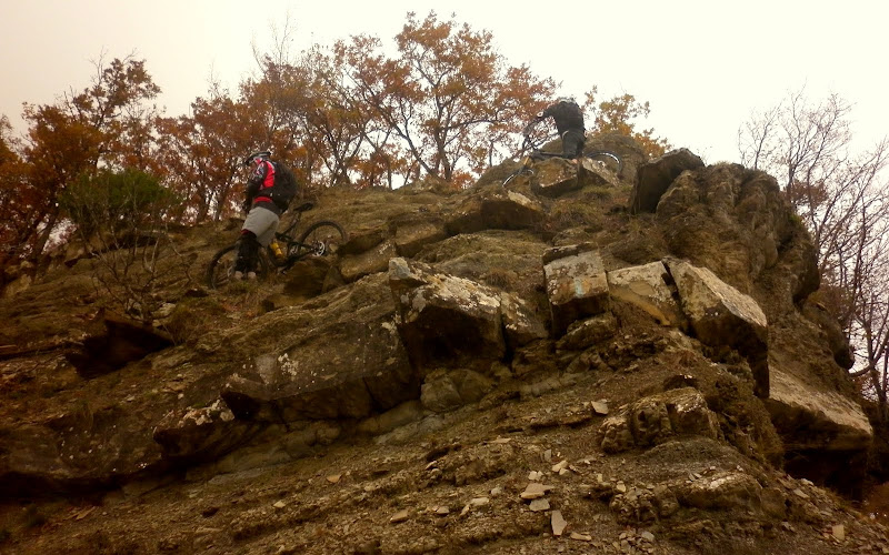 P1000269.JPG