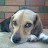 Mark Thistlewaite avatar image