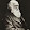 Daniel Temple Daniel Temple's profile photo