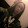 Sara Denny Sara Denny's profile photo