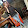 rahmadhani marvel rahmadhani marvel's profile photo