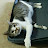 Janice Pang avatar image