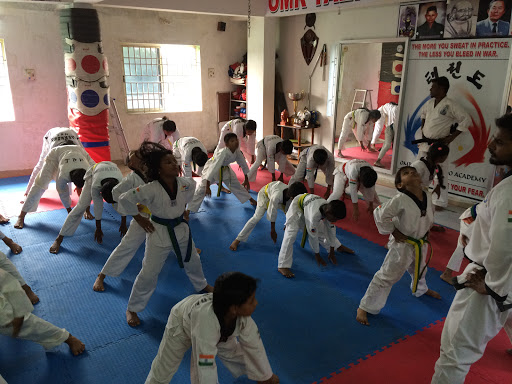 OMR Taekwondo Academy, # 254/3, 2nd floor, Rohin Complex, Old Mahabalipuram Road, Kandancavadi, Chennai, Tamil Nadu 600096, India, Taekwondo_Coaching_Center, state TN