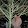 Venkatramvasi Mohanvasi Venkatramvasi Mohanvasi's profile photo