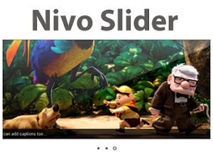  Nivo Slider - jQuery Image Slider