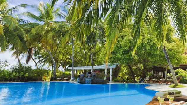 Cover photo