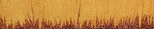 Cover photo