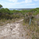 Arrow marker down bushtrack north of Leather Jacket Bay (103579)