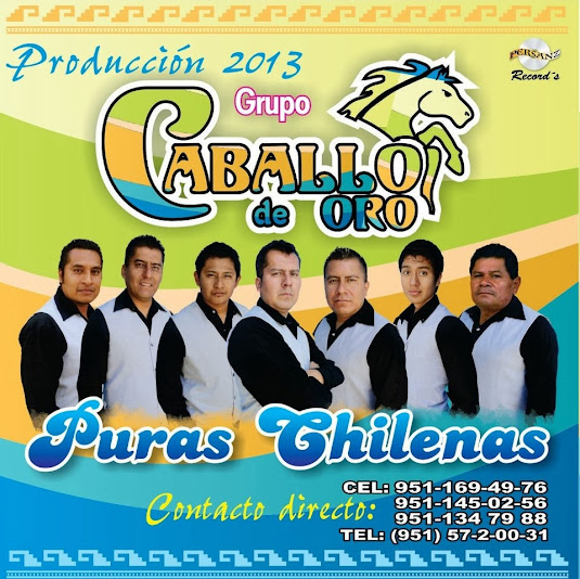 GRUPO DE MUSICA DE CHILE grupo de musica de chile: