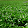 ayaz alavi ayaz alavi's profile photo