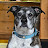 Fran Wilson avatar image