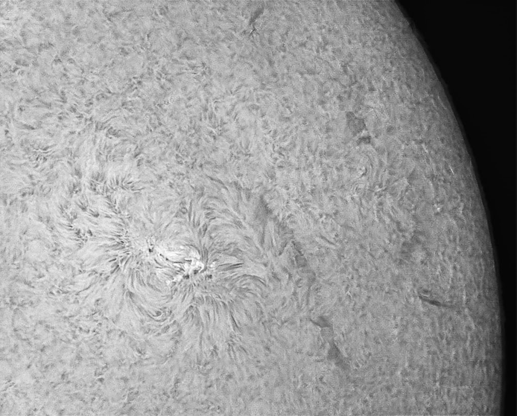 Bild