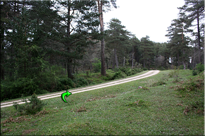 Pista/Dch. Pista/Dch.