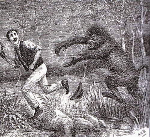 Wierdaustralia Bigfoot Huntings Not So New Meet Australias 19Th Century Yowie Hunters