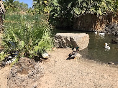 Photos of Yuma Conservation Garden