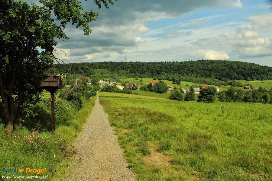 Widok na Łysą Górę ze szlaku