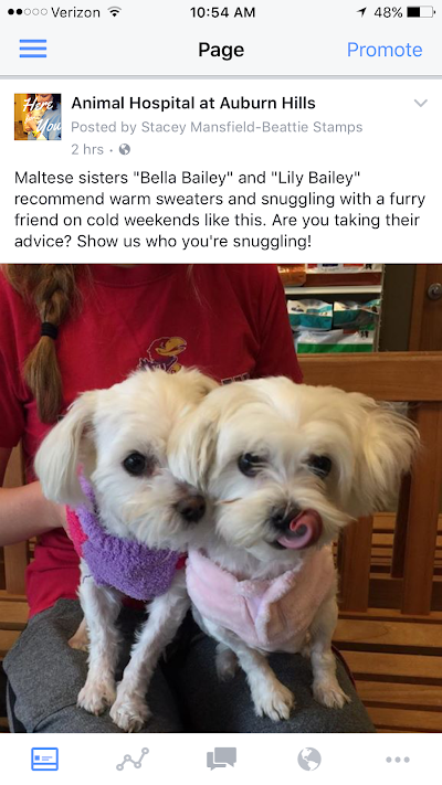 Photos of Animal Hospital at Auburn Hills