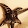 ahmad mad ahmad mad's profile photo