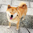 WuWei Xu avatar image