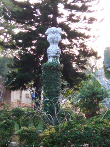 Agri Horticultural Society Gardens, Cathedral Rd, Gopalapuram, Chennai, Tamil Nadu 600086, India, Plant_Nursery, state TN