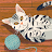 Pribadi W avatar image