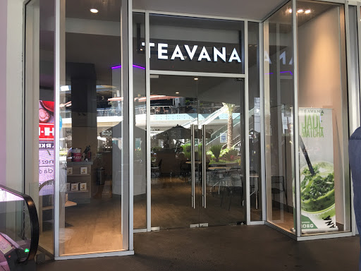Teavana, 66226, Avenida José Vasconcelos 755, Los Sabinos, San Pedro Garza García, N.L., México, Tienda de té | NL