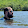 Hugo Santiago Hugo Santiago's profile photo