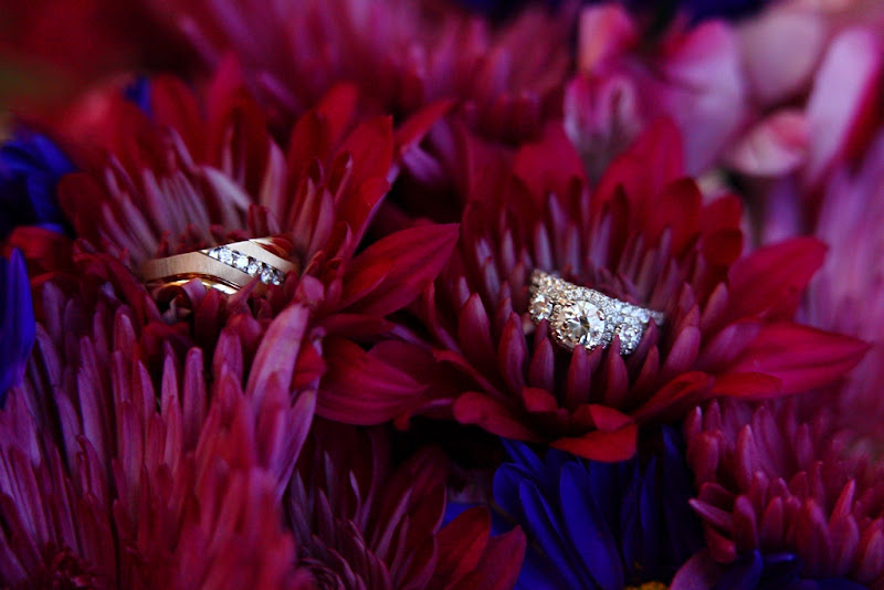 IMAGE: https://lh4.googleusercontent.com/-XVpGDyVFTNU/UHcXukaKBLI/AAAAAAAACuQ/E5Fk7q_ORF8/s800/Hall_106.JPG