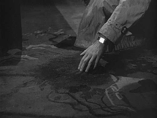The Big Sleep Hosted by Picasa