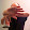 Peter König Peter König's profile photo