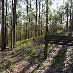 GNW sign post in Open forest on western side of Congewai Valley (362378)