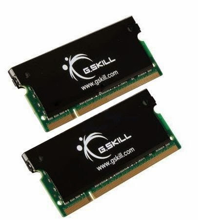  G.SKILL 4GB (2 x 2GB) 200-Pin SO-DIMM DDR2 667 (PC2 5300) Dual Channel Kit Laptop Memory with Heat Sinks Model F2-5300CL5D-4GBSK