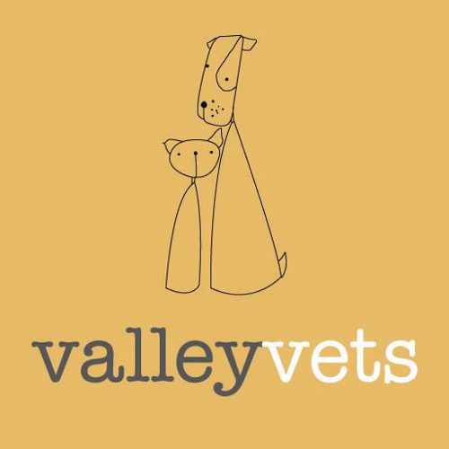Valley Vets, Pentyrch logo
