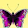 Magela Suarez Magela Suarez's profile photo