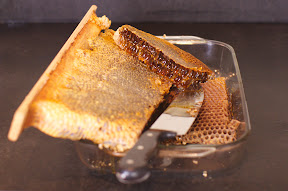 Honey Harvest, CC BY-NC, Sarah Sharp
