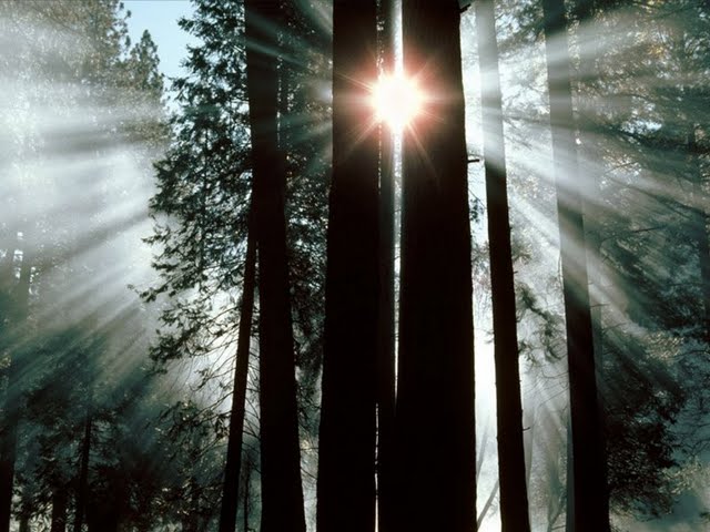 Raio de sol