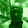 ivanildo manuel ivanildo manuel's profile photo