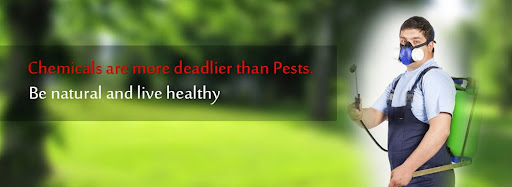 Pest Rid Naturals - LIVE NATURAL LIVE HEALTHY, KALASHETRA COLONY, 32, Arundale Beach Rd, Kalakshetra Colony, Besant Nagar, Chennai, Tamil Nadu 600090, India, Pest_Control_Service, state TN