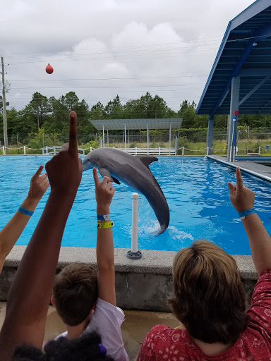 Educational Institution «Institute For Marine Mammal Studies», reviews and photos, 10801 Dolphin Ln, Gulfport, MS 39503, USA