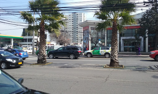 Banco Santander, Gran Avenida Jose Miguel Carrera 8491, El Bosque, La Cisterna, Región Metropolitana, Chile, Banco | Región Metropolitana de Santiago