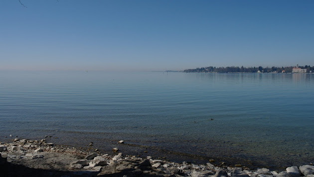 Cover photo