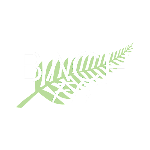BACH Fitness logo